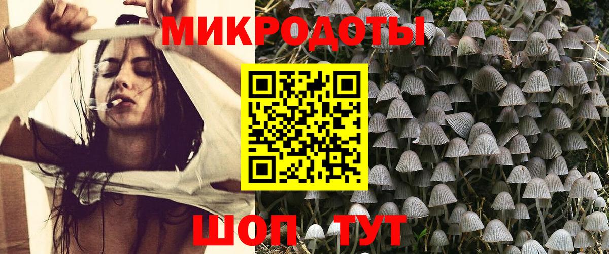 Костомукша  Псилоцибиновые грибы Psilocybine cubensis  Вход с VPN 